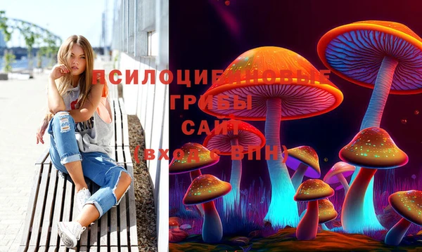 СК Заволжье